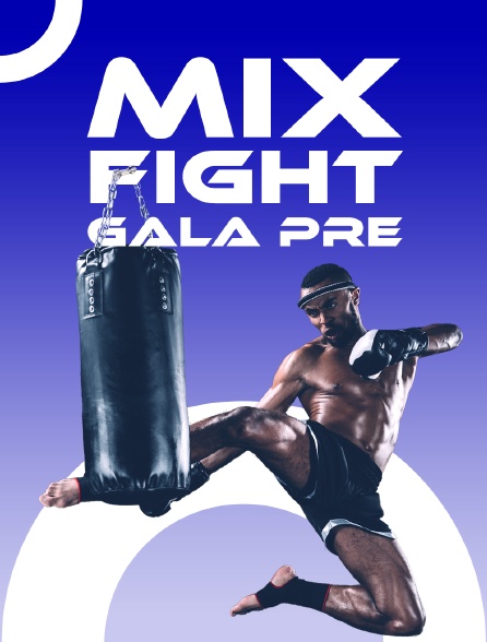 Mix Fight Gala Pre