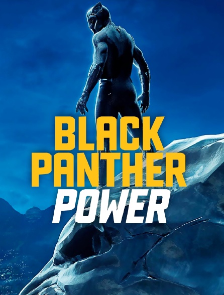 Black Panther Power