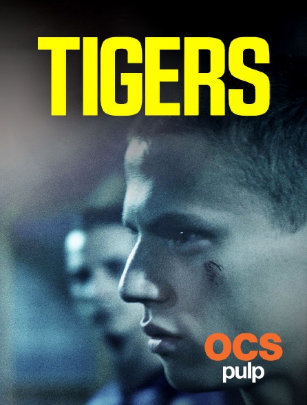 OCS Pulp - Tigers