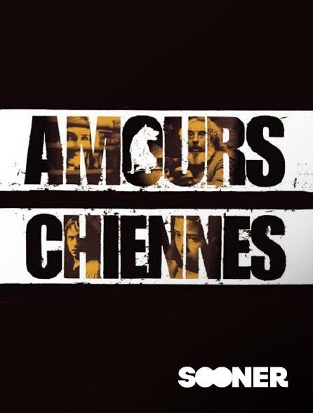 Sooner - Amours chiennes