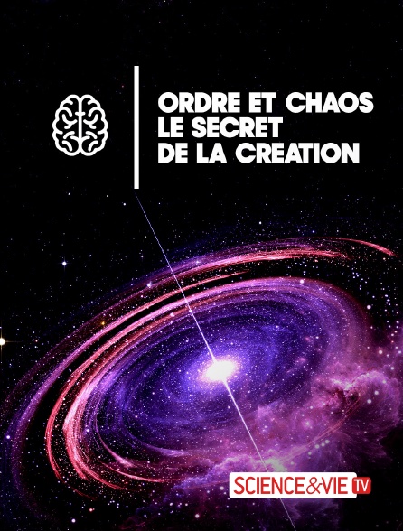 Science et Vie TV - Ordre et chaos : le secret de la création