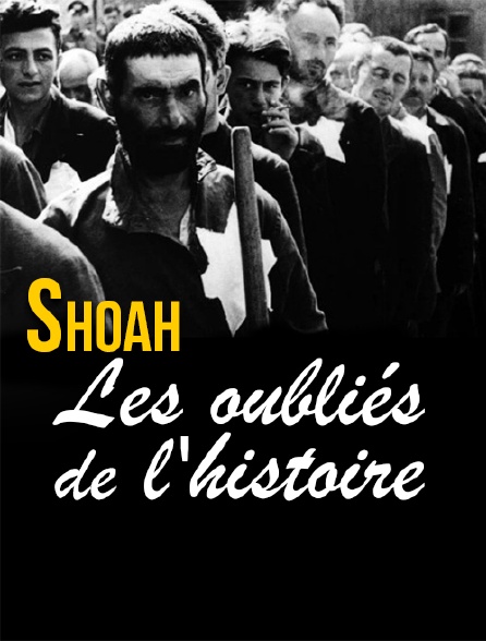 Shoah, les oubliés de l'histoire