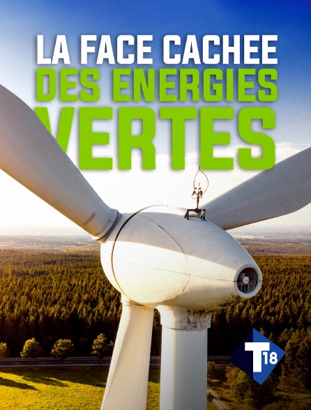 T18 - La face cachée des énergies vertes