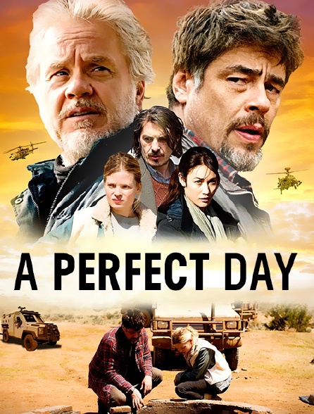 A Perfect Day : un jour comme un autre