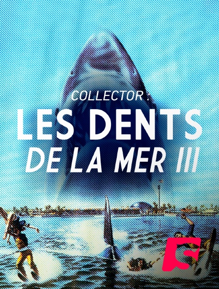 Spicee - Collector : les dents de la mer 3