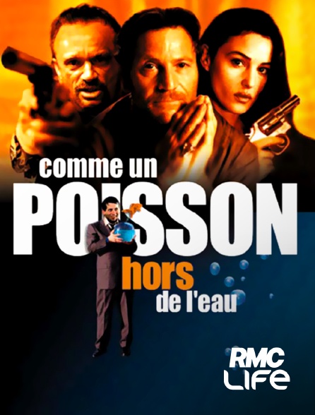 RMC Life - Comme un poisson hors de l'eau
