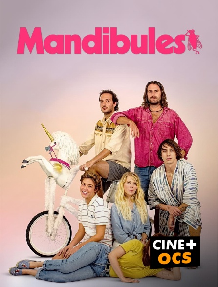 CINÉ Cinéma - Mandibules