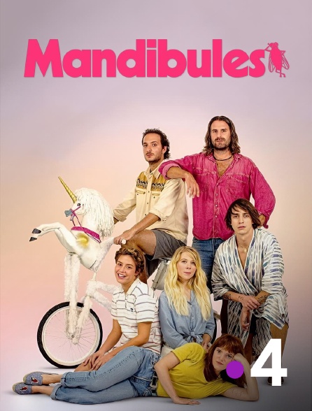 France 4 - Mandibules