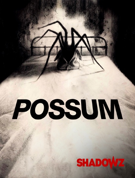 Shadowz - Possum