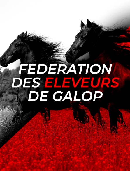 Fédération des Eleveurs De Galop