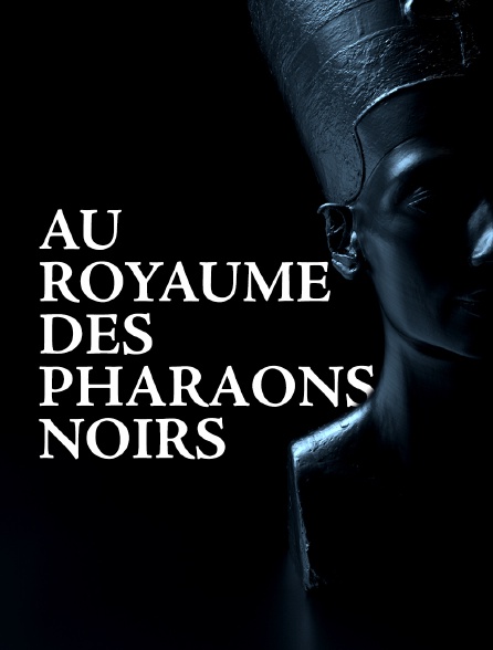 Au royaume des pharaons noirs