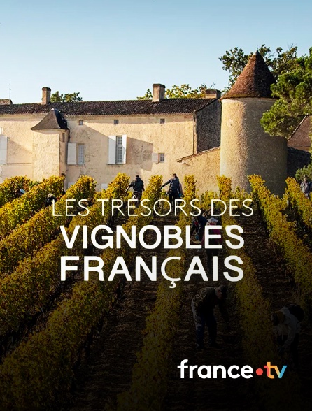france.tv - Les trésors des vignobles français en replay