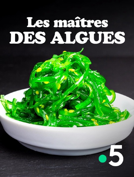 France 5 - Les maîtres des algues