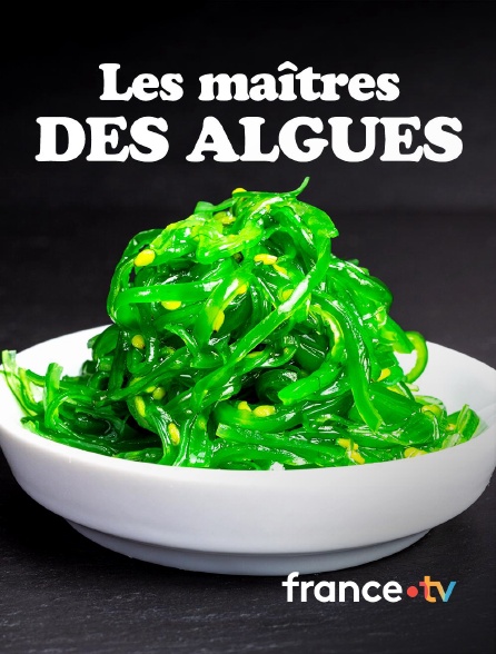 france.tv - Les maîtres des algues