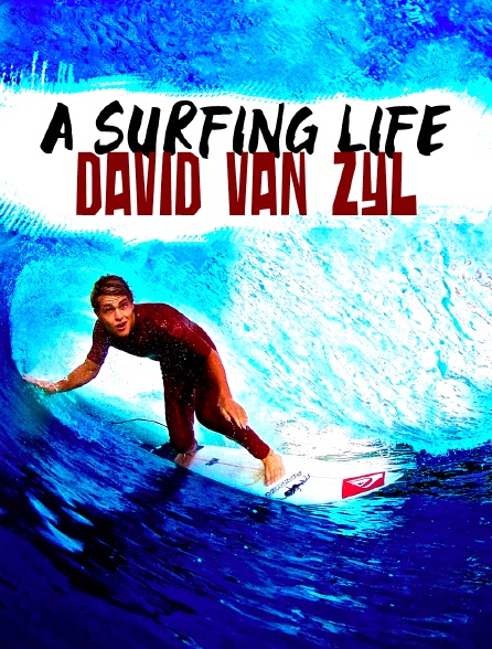 A Surfing Life: David Van Zyl