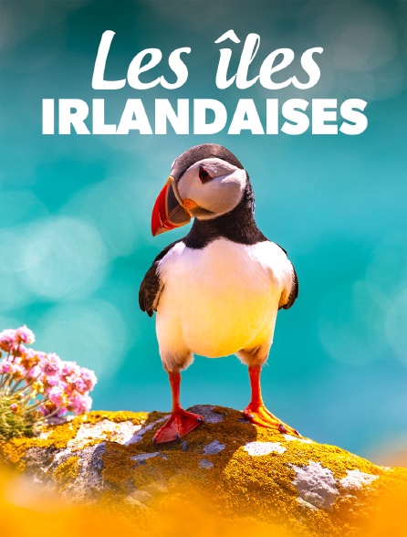 Les îles irlandaises, avant-postes de l'océan