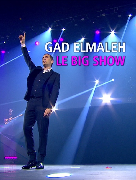 Gad Elmaleh, le big show