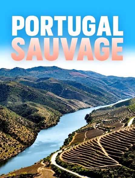 Le Portugal sauvage : Entre terre et océan