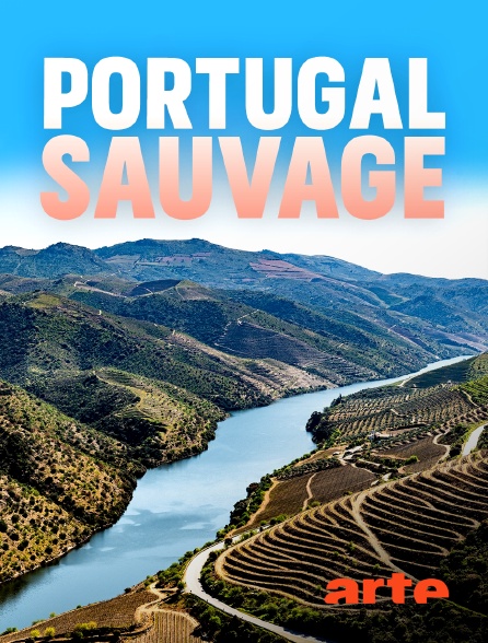 Arte - Le Portugal sauvage : Entre terre et océan