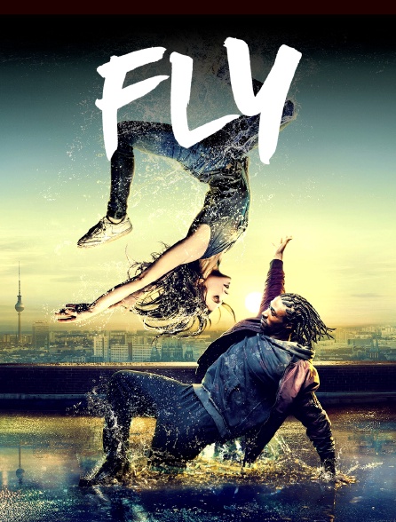 Fly
