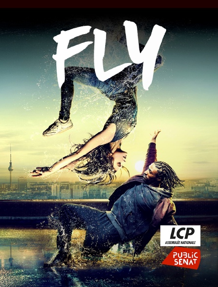 LCP Public Sénat - Fly