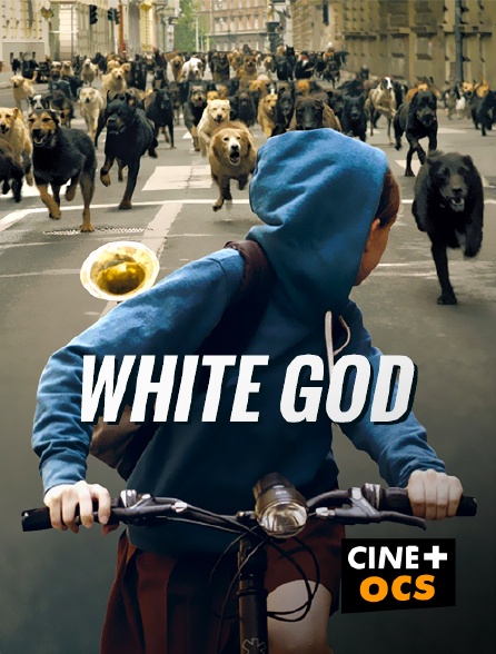 CINÉ Cinéma - White God