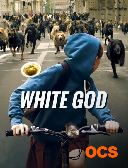 OCS - White God