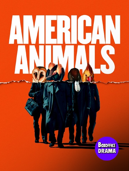 Box Office Drama - American Animals