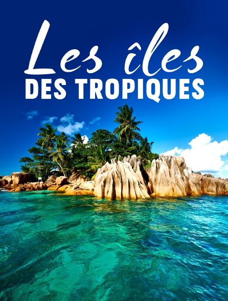 Les îles des tropiques