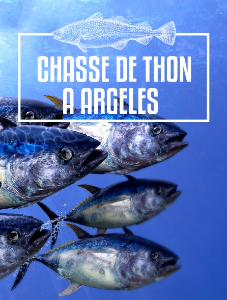 Chasse de thon à Argelès