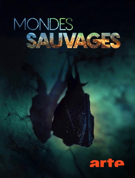 Arte - Mondes sauvages