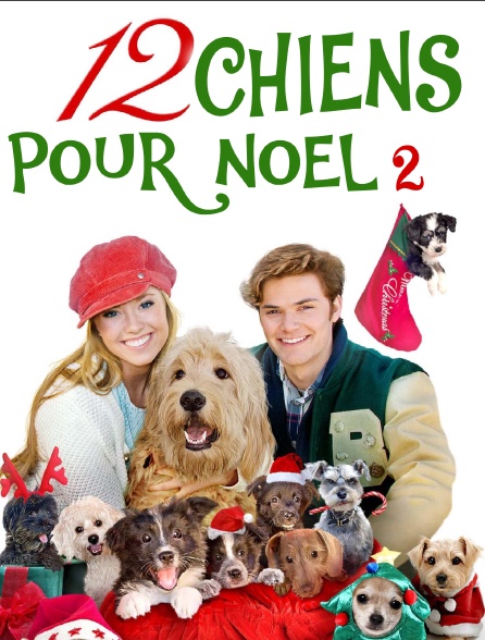 12 chiens pour Noël 2