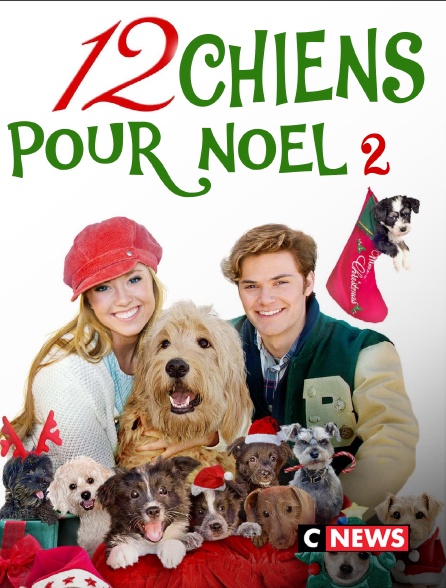 CNEWS - 12 chiens pour Noël 2
