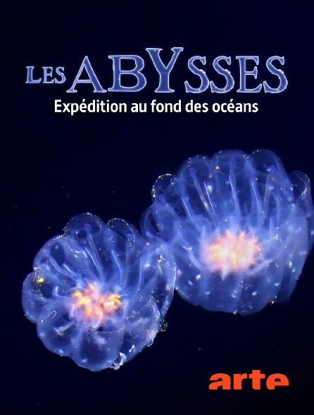 Arte - Ascenseur pour les abysses : Expédition au fond des océans