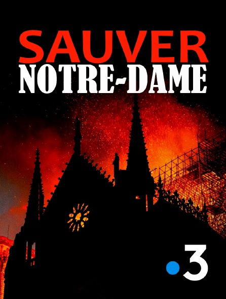 France 3 - Sauver Notre-Dame