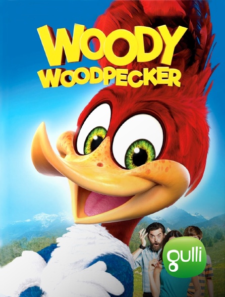 Woody Woodpecker Film Streaming Woody Woodpecker, le film en Streaming sur Gulli - Molotov.tv