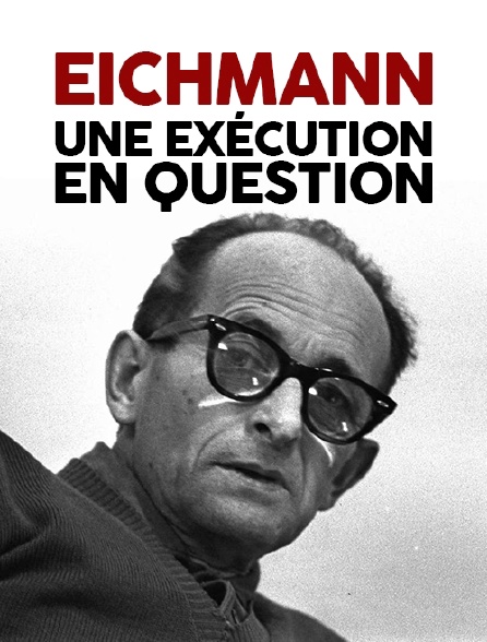 Adolf Eichmann, une exécution en question