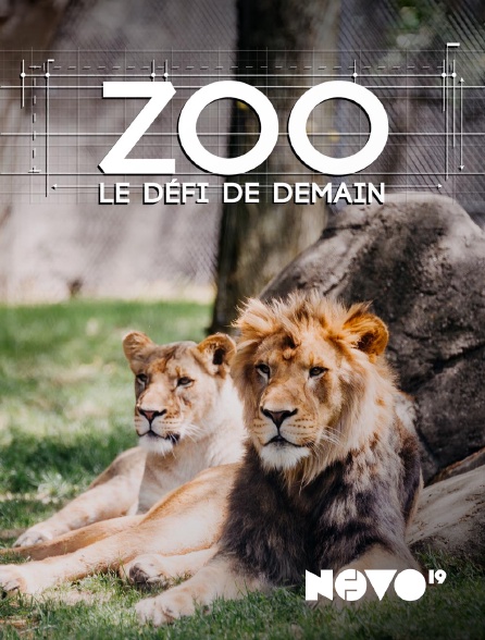 NOVO19 - Zoo : le défi de demain