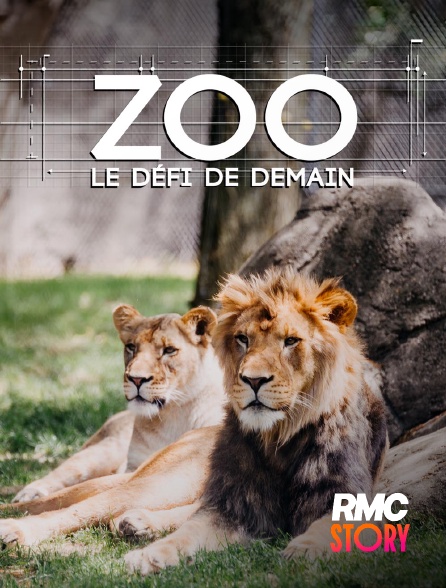 RMC Story - Zoo : le défi de demain