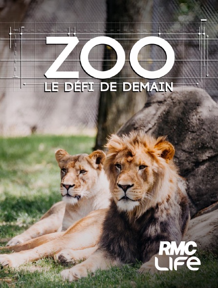 RMC Life - Zoo : le défi de demain