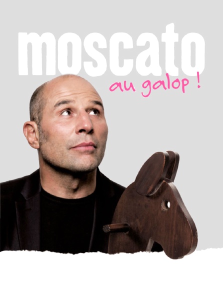 Vincent Moscato : Au galop !