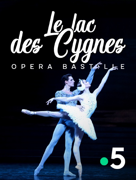 France 5 - Le Lac des cygnes (Opéra Bastille)