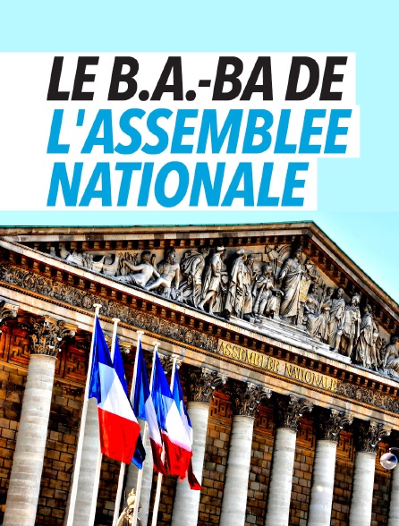 Le B.A.-BA de l'Assemblée nationale