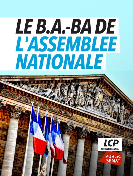 LCP Public Sénat - Le B.A.-BA de l'Assemblée nationale