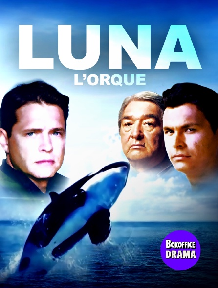 Box Office Drama - Luna l'orque