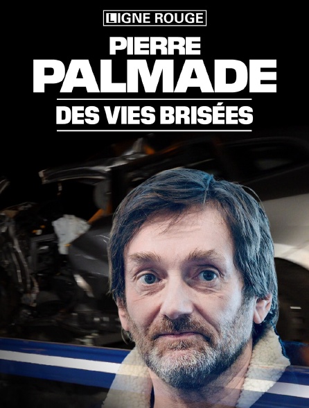 Pierre Palmade : des vies brisées