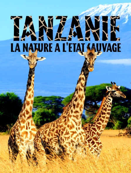 Tanzanie, la nature à l'état sauvage