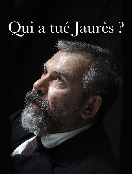 Qui a tué Jaurès ?