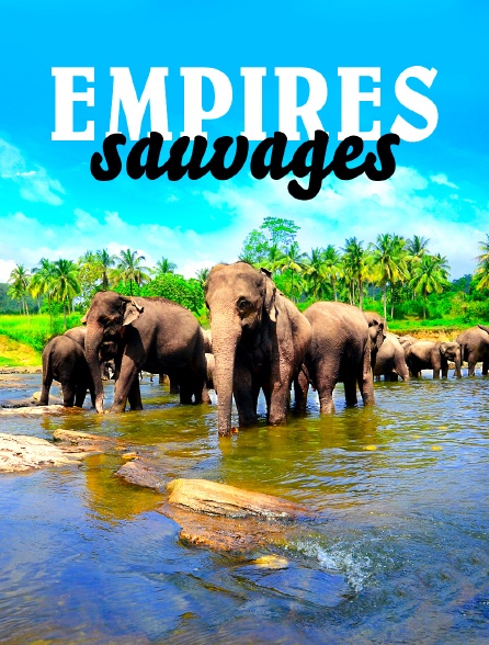 Empires sauvages