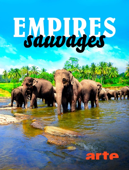 Arte - Empires sauvages